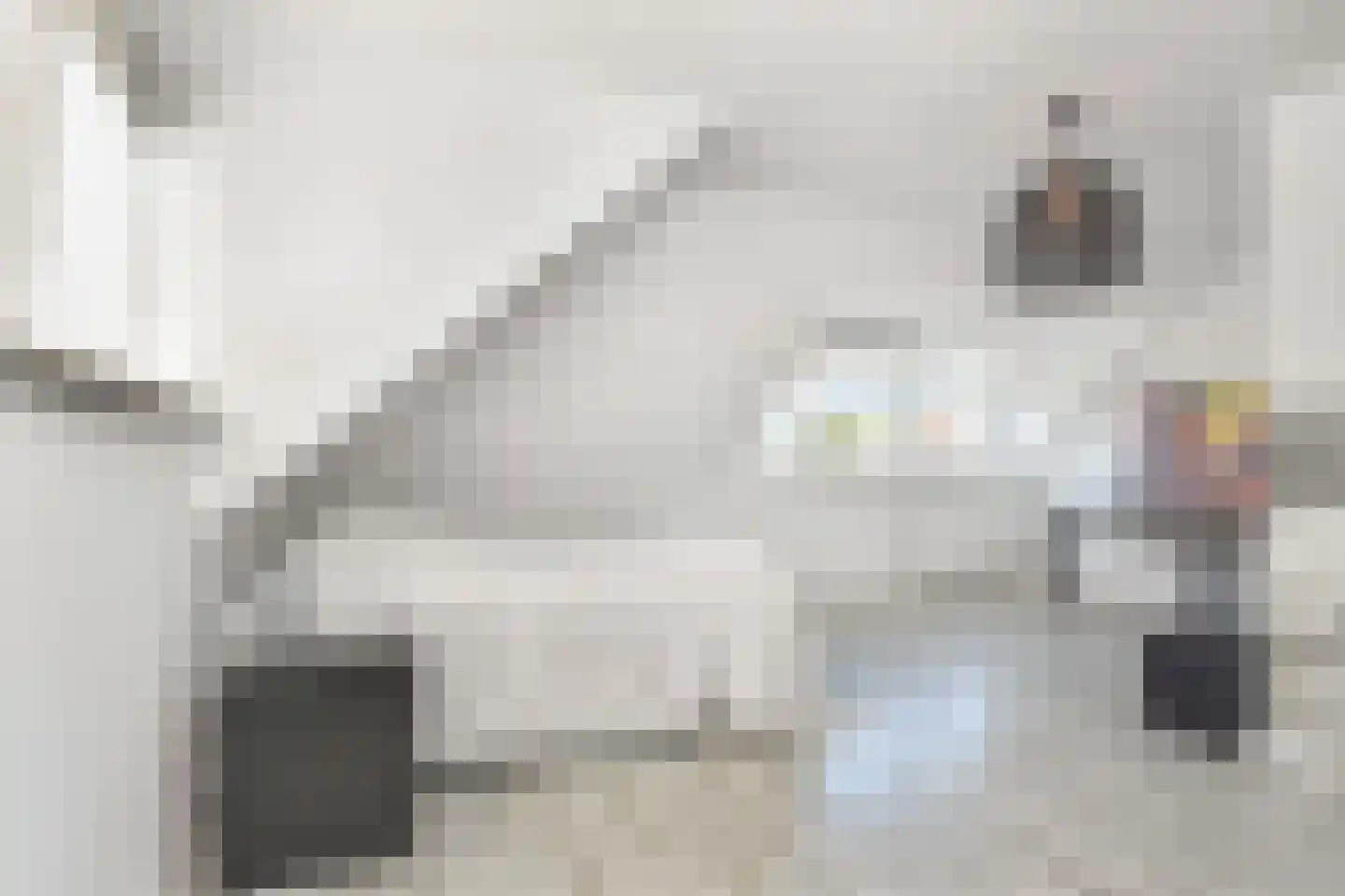 Kwikstaartlaan 13 Den Haag thumbnail 23