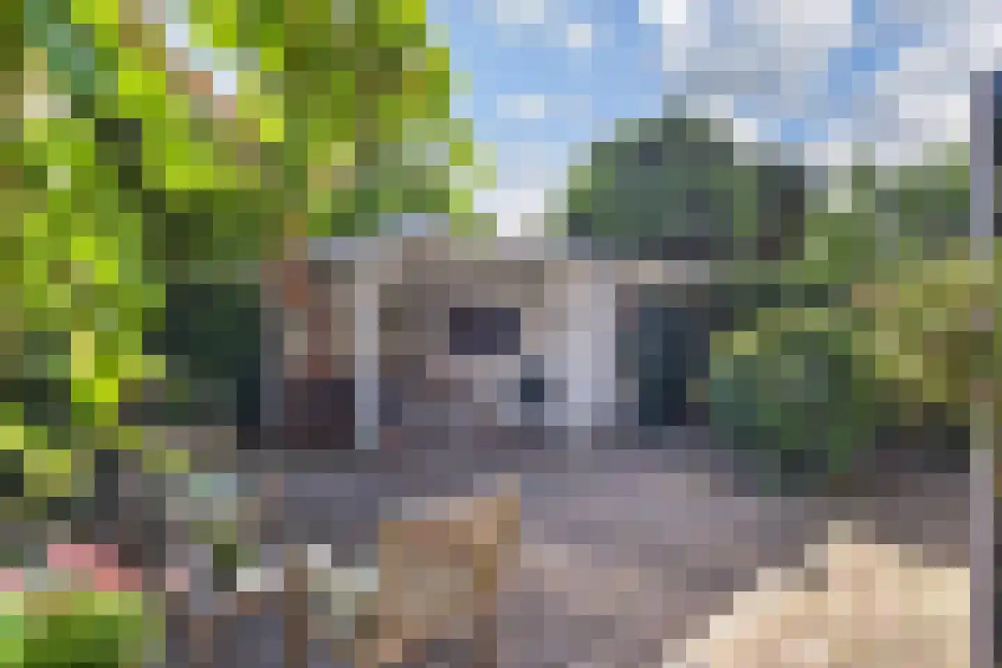 Kwikstaartlaan 13 Den Haag thumbnail 27
