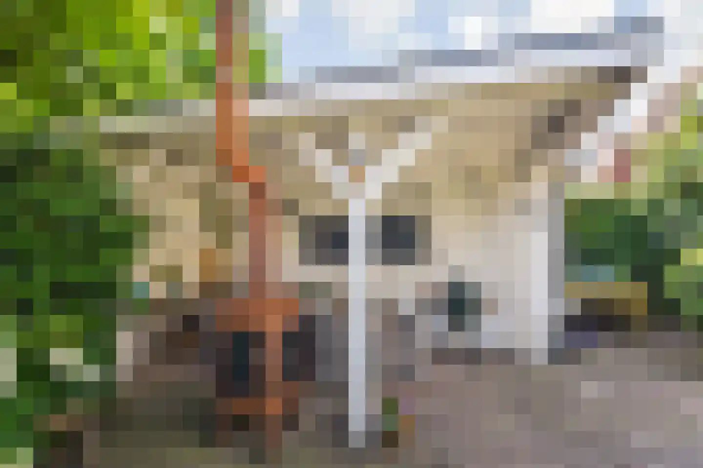 Kwikstaartlaan 13 Den Haag thumbnail 28