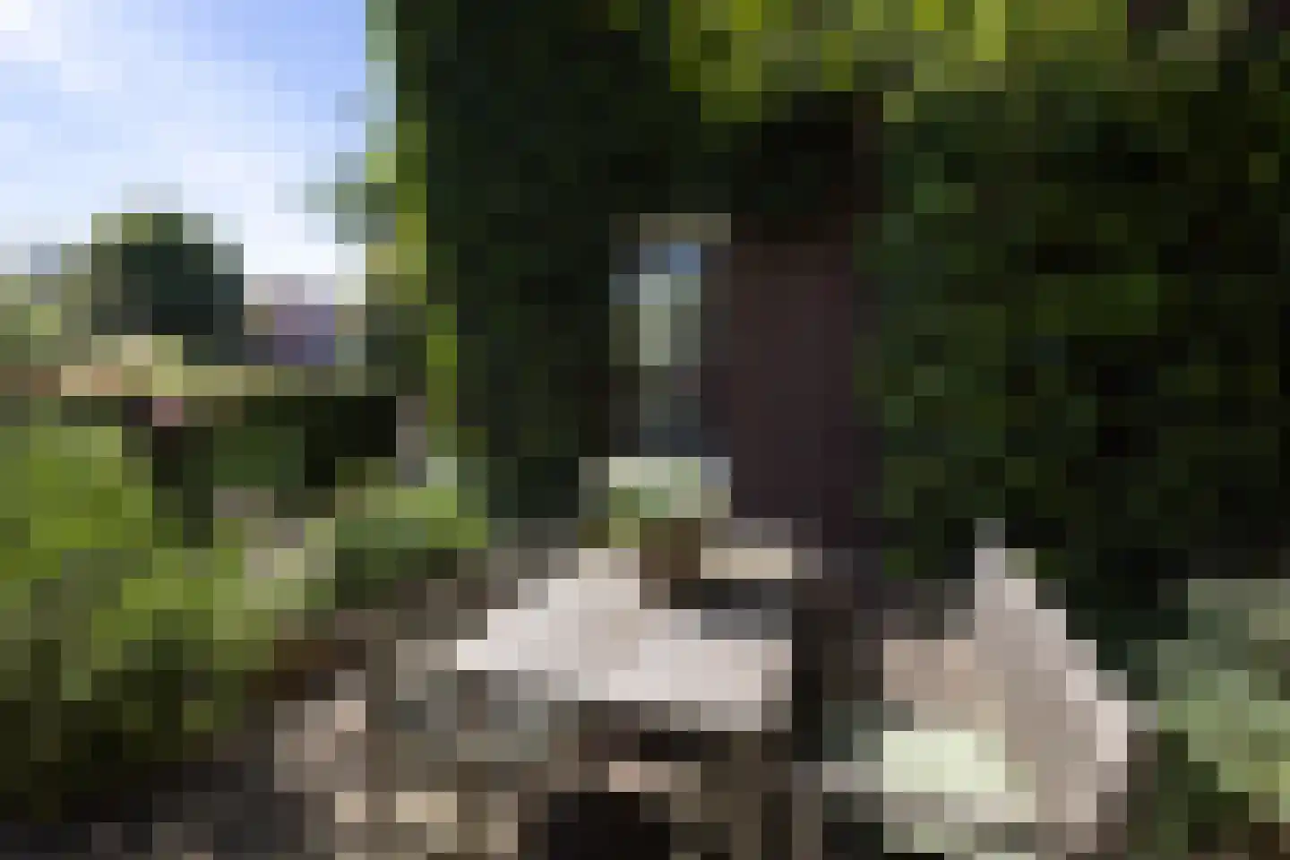 Kwikstaartlaan 13 Den Haag thumbnail 29