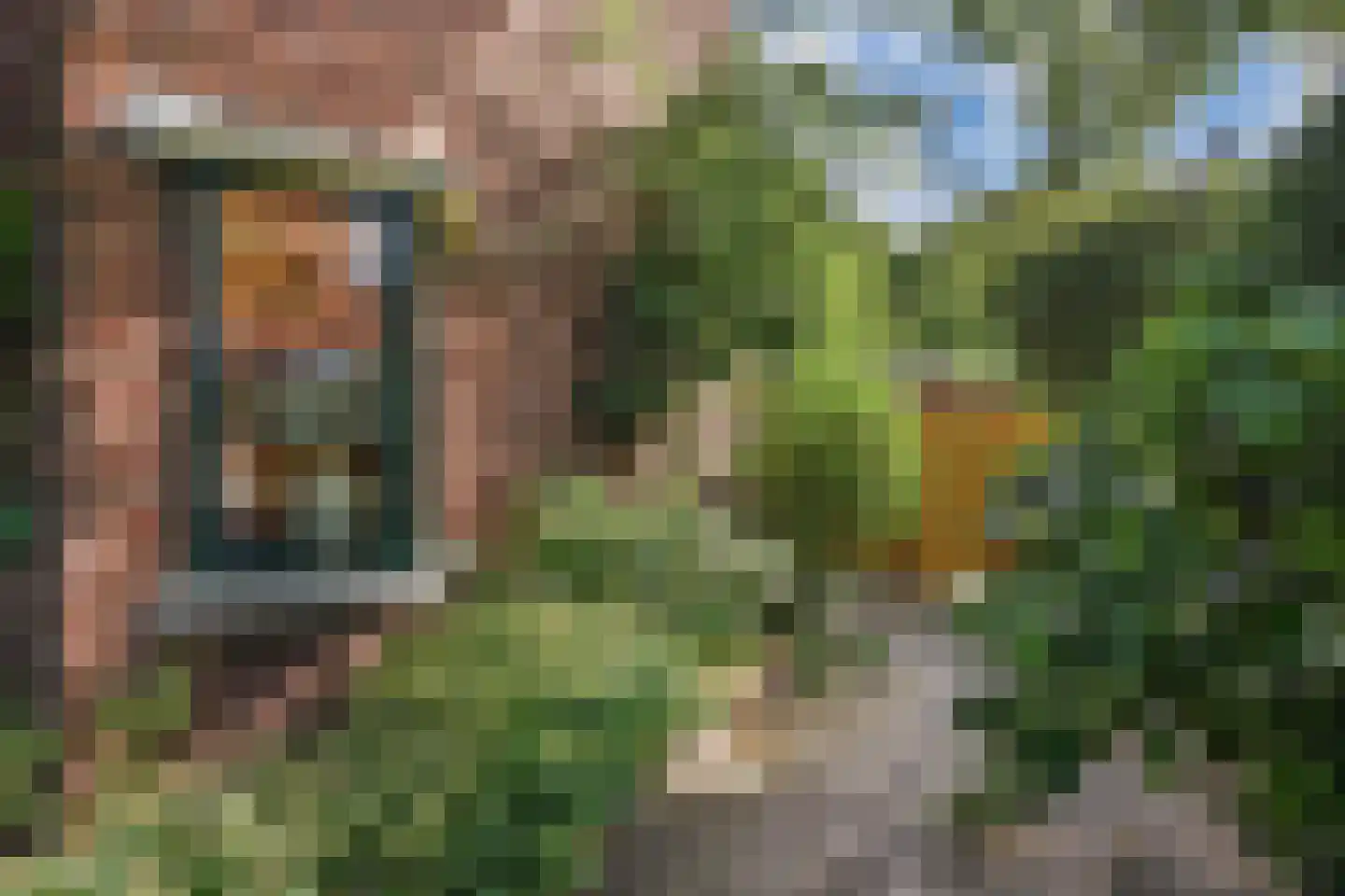 Kwikstaartlaan 13 Den Haag thumbnail 4