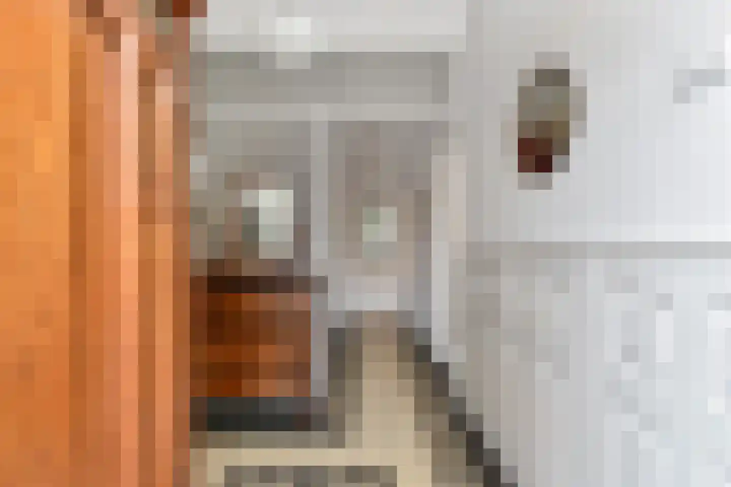 Kwikstaartlaan 13 Den Haag thumbnail 5