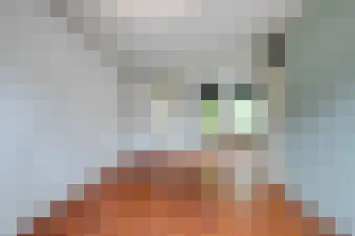 Kwikstaartlaan 21 Alkmaar thumbnail 11