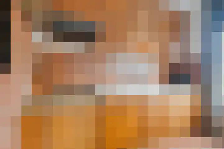 Kwikstaartlaan 21 Alkmaar thumbnail 17