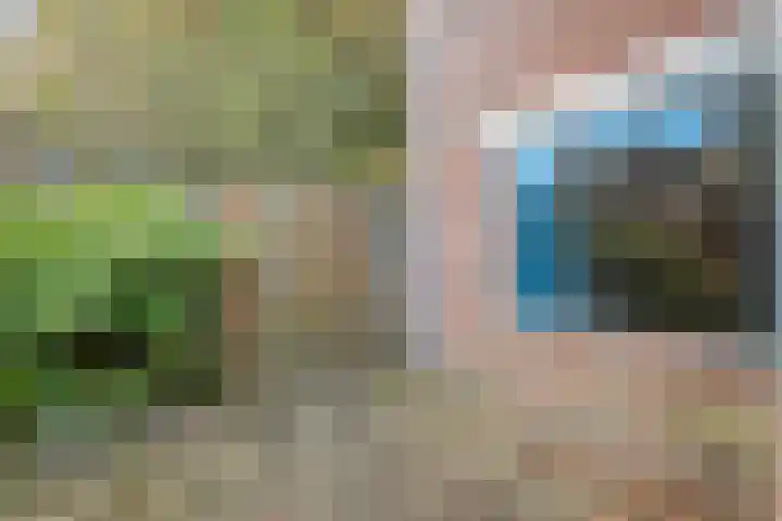 Kwikstaartlaan 21 Alkmaar thumbnail 21