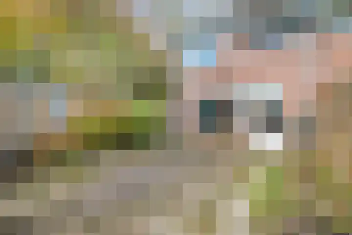 Kwikstaartlaan 21 Alkmaar thumbnail 23
