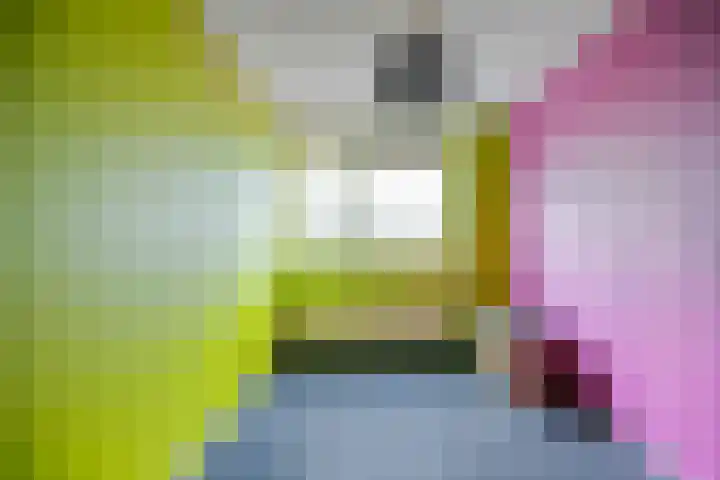 Kwikstaartlaan 21 Alkmaar thumbnail 33
