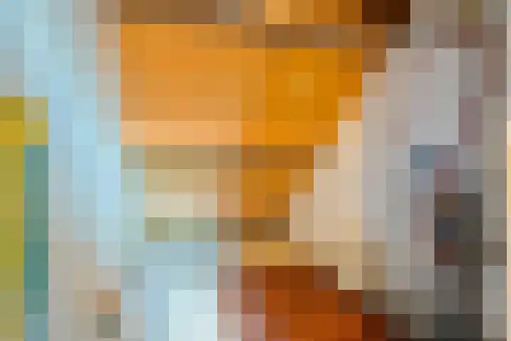 Kwikstaartlaan 21 Alkmaar thumbnail 35