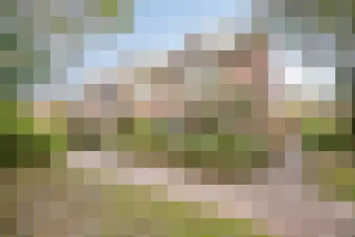 Kwikstaartlaan 21 Alkmaar thumbnail 41