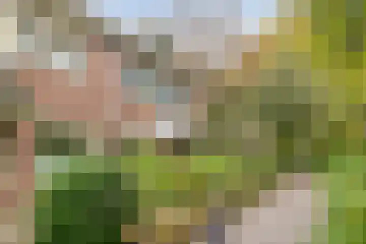 Kwikstaartlaan 21 Alkmaar thumbnail 42