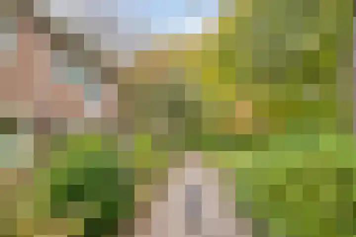 Kwikstaartlaan 21 Alkmaar thumbnail 43