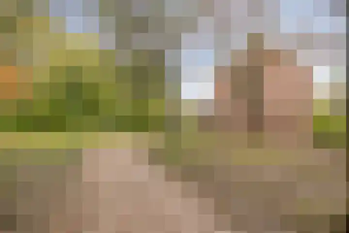 Kwikstaartlaan 21 Alkmaar thumbnail 44