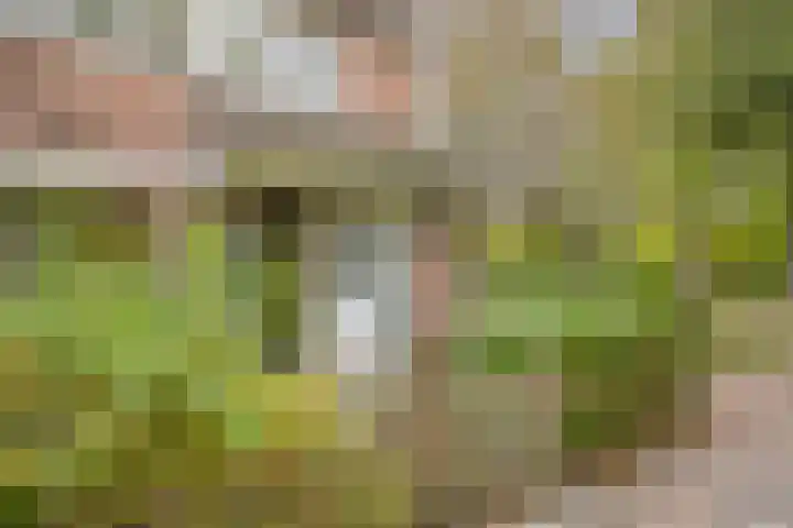 Kwikstaartlaan 21 Alkmaar thumbnail 5