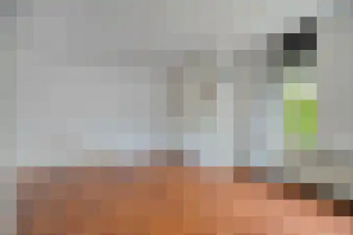 Kwikstaartlaan 21 Alkmaar thumbnail 8