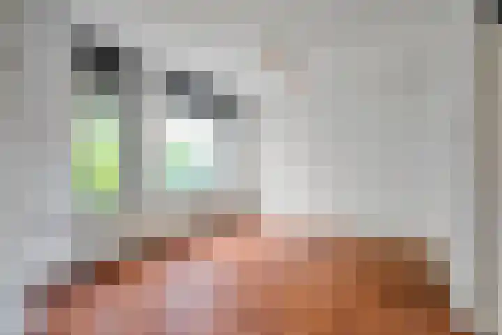 Kwikstaartlaan 21 Alkmaar thumbnail 9