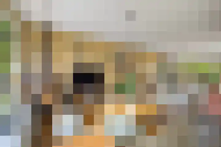 Kwikstaartlaan 25 Leidschendam thumbnail 14