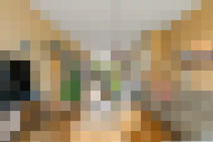 Kwikstaartlaan 25 Leidschendam thumbnail 16