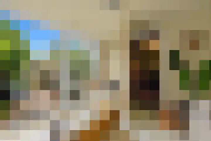 Kwikstaartlaan 25 Leidschendam thumbnail 33