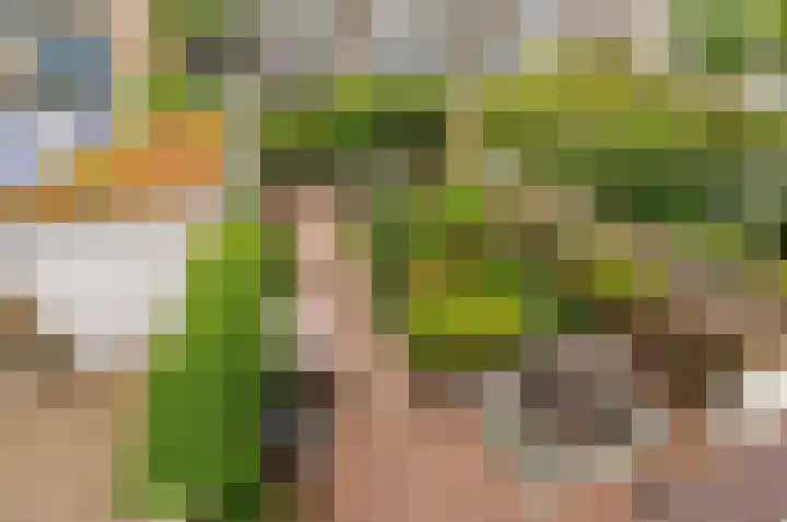 Kwikstaartlaan 25 Leidschendam thumbnail 55