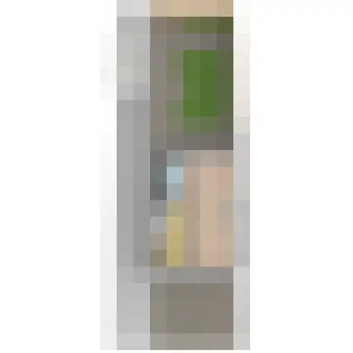 Kwikstaartlaan 25 Leidschendam thumbnail 88