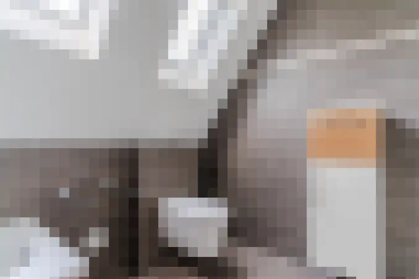 Kwikstaartlaan 36 Alkmaar thumbnail 44