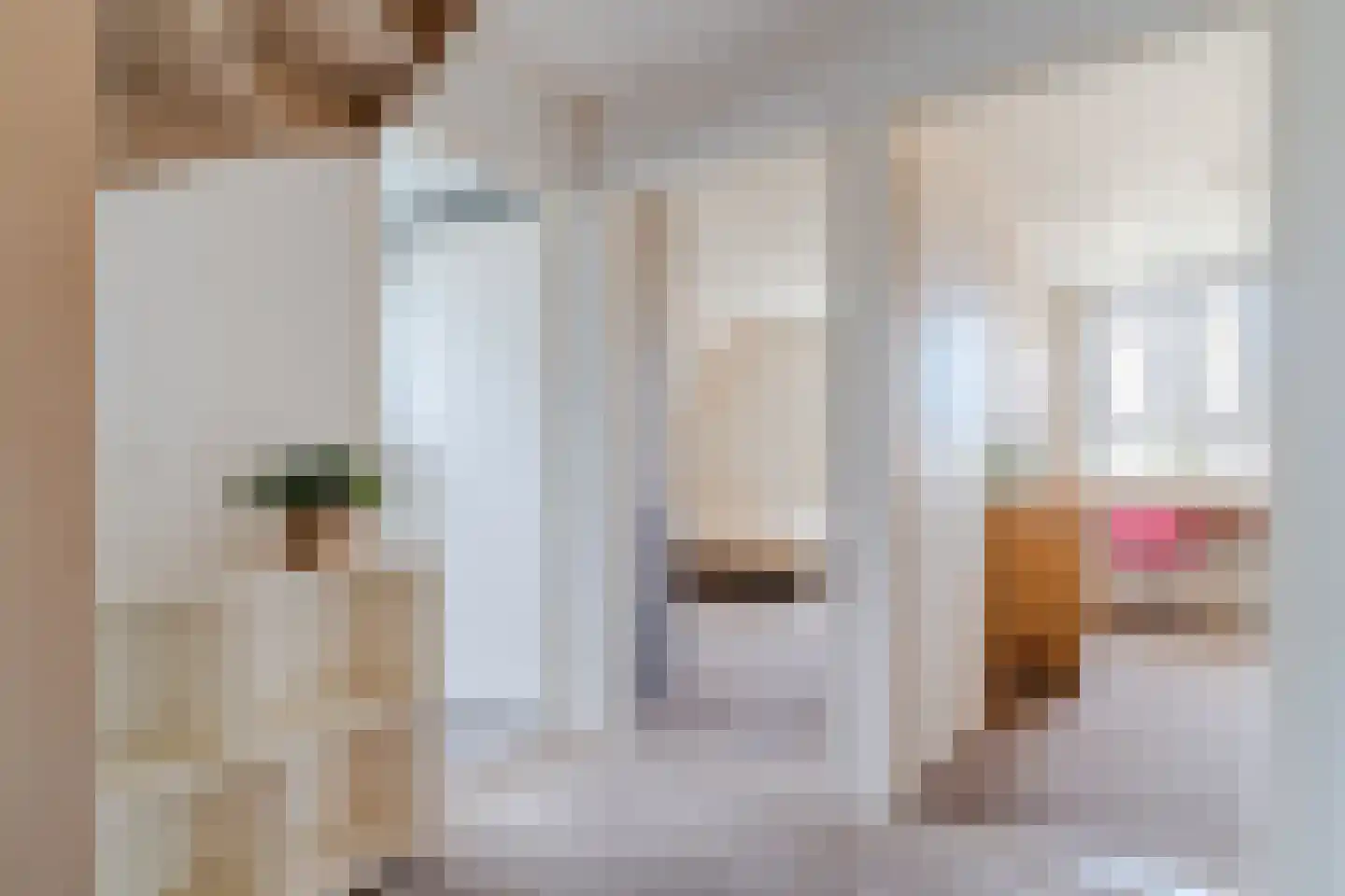 Kwikstaartlaan 36 Alkmaar thumbnail 47