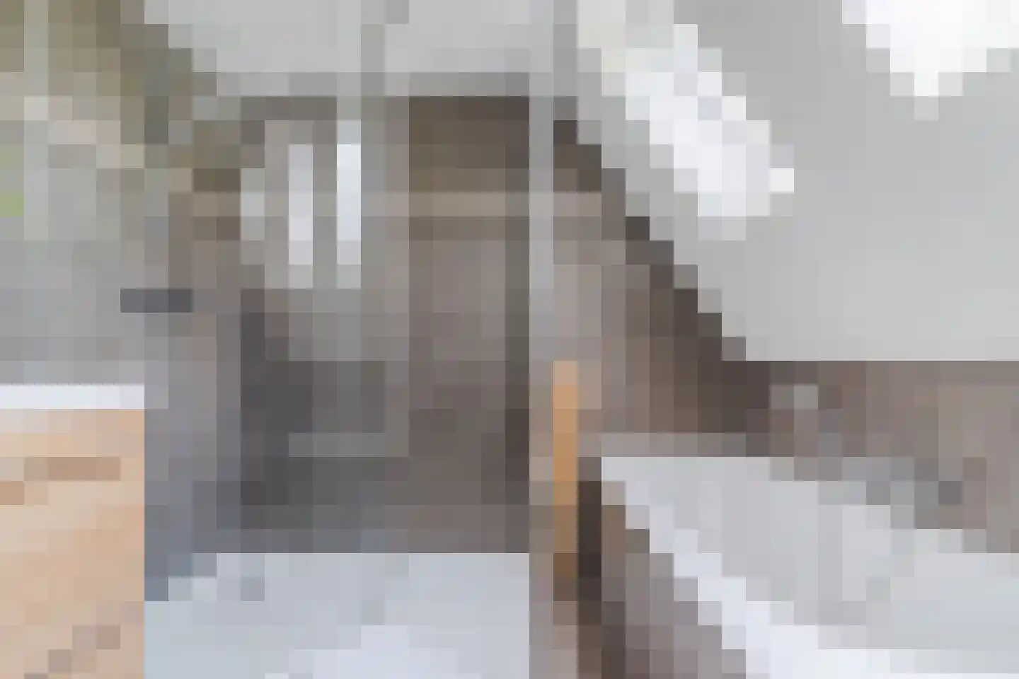Kwikstaartlaan 36 Alkmaar thumbnail 6