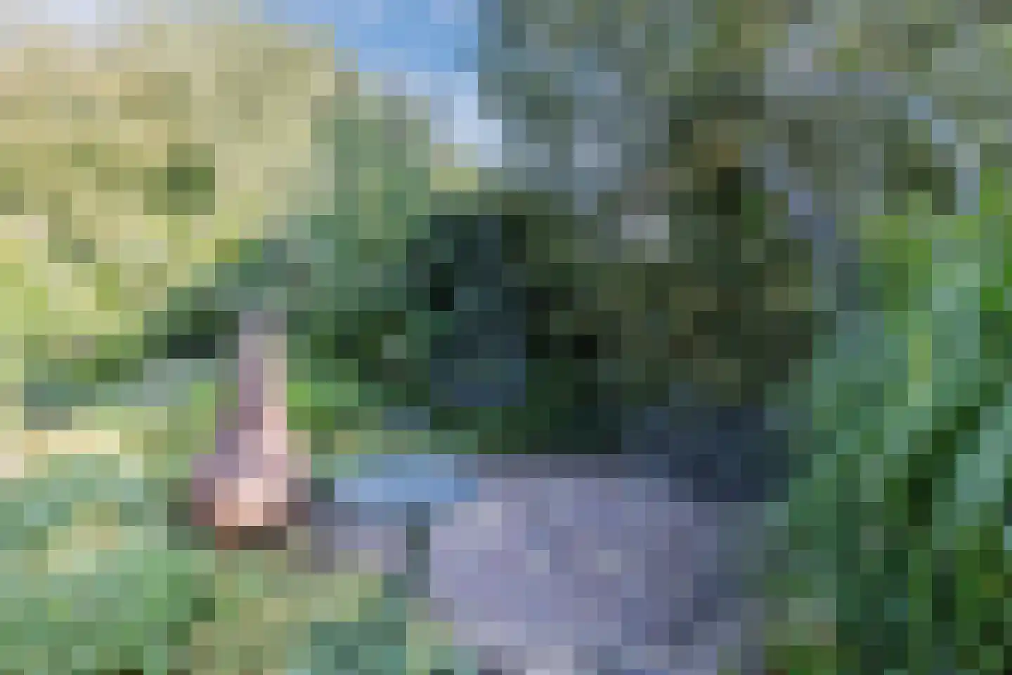 Kwikstaartlaan 36 Alkmaar thumbnail 64