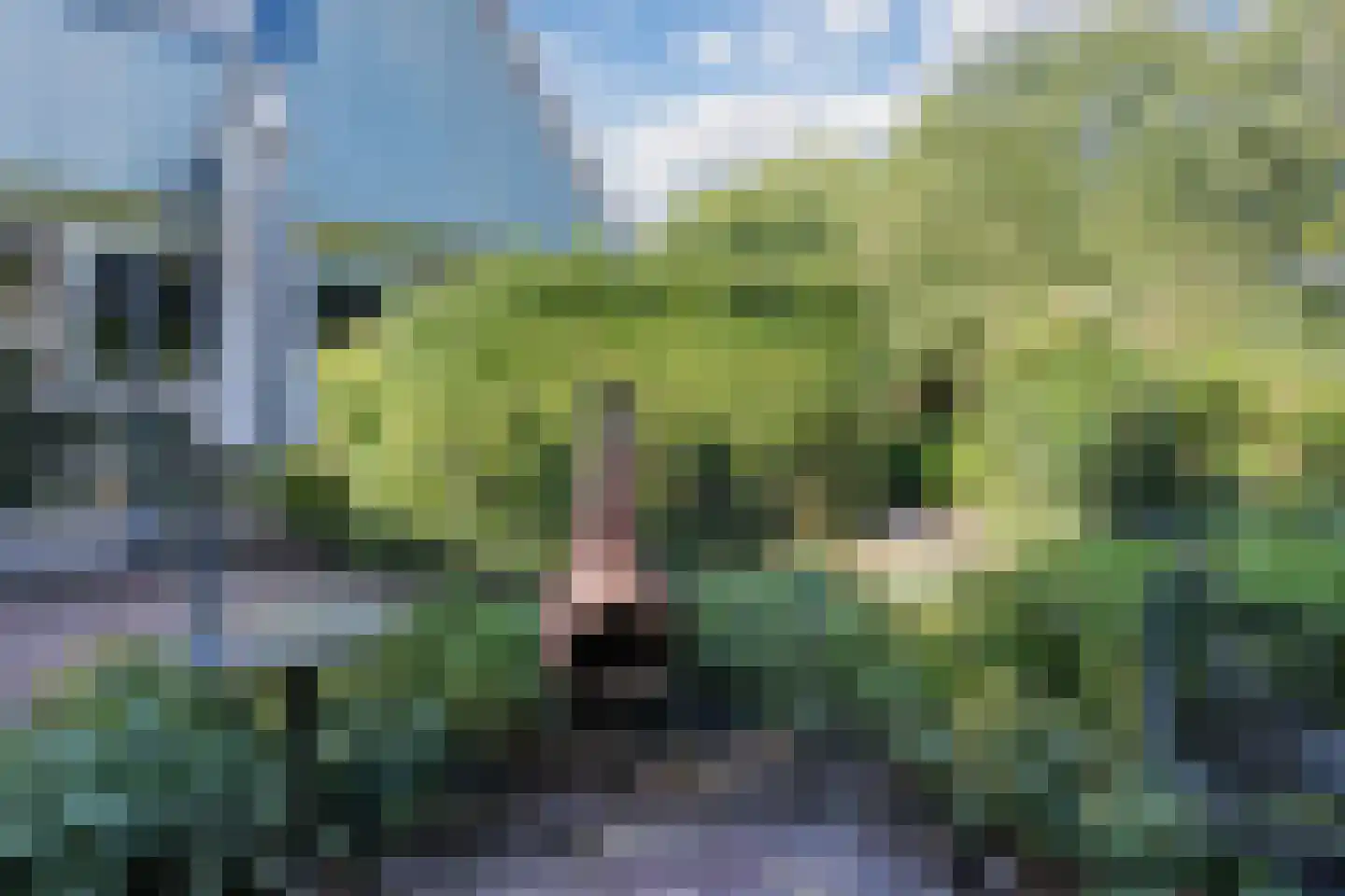 Kwikstaartlaan 36 Alkmaar thumbnail 66