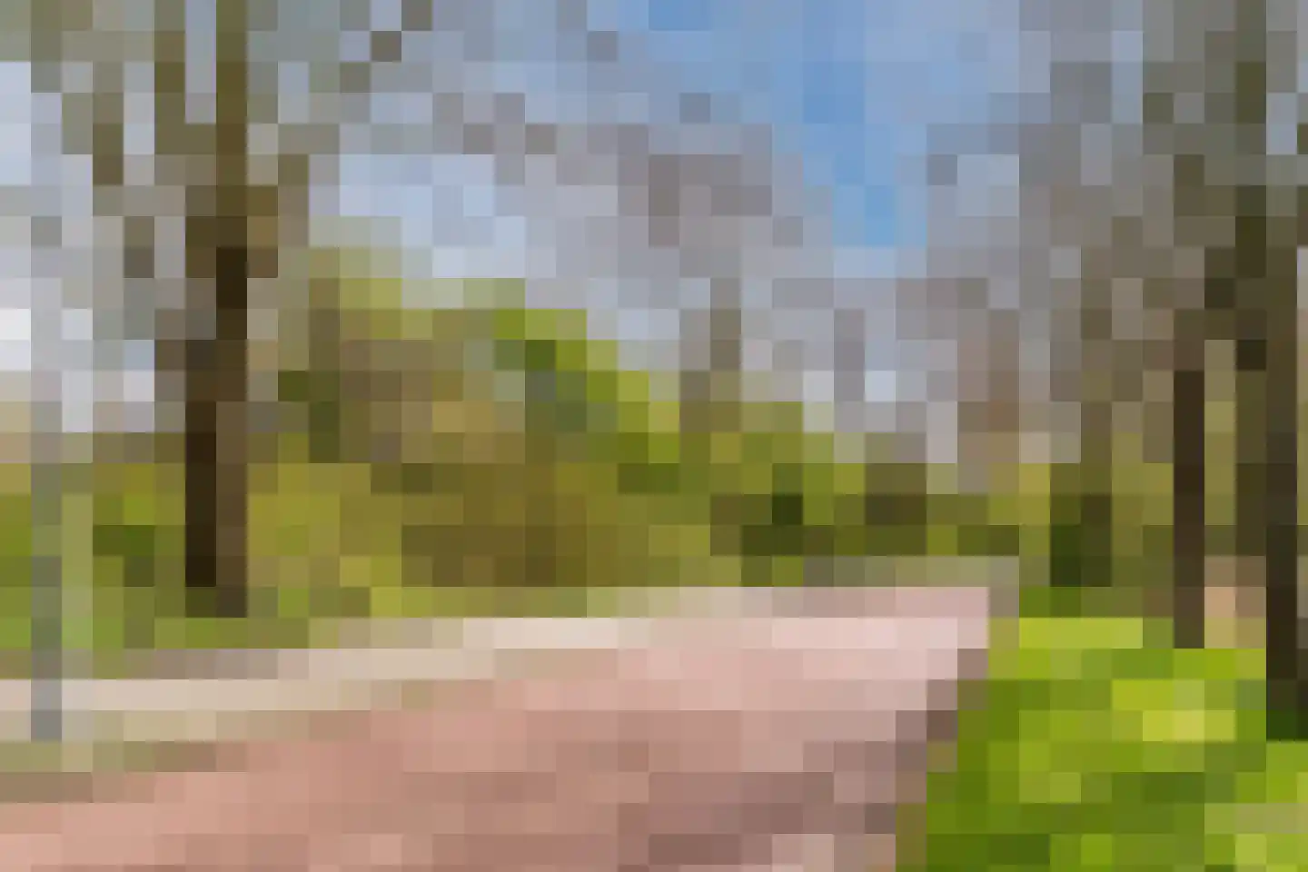 Kwikstaartlaan 36 Alkmaar thumbnail 83