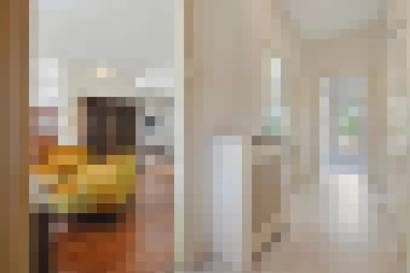 Kwikstaartlaan 36 Den Haag thumbnail 10