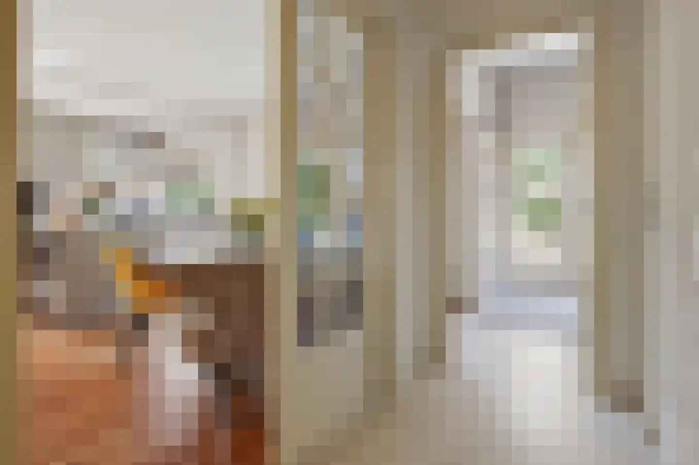 Kwikstaartlaan 36 Den Haag thumbnail 11