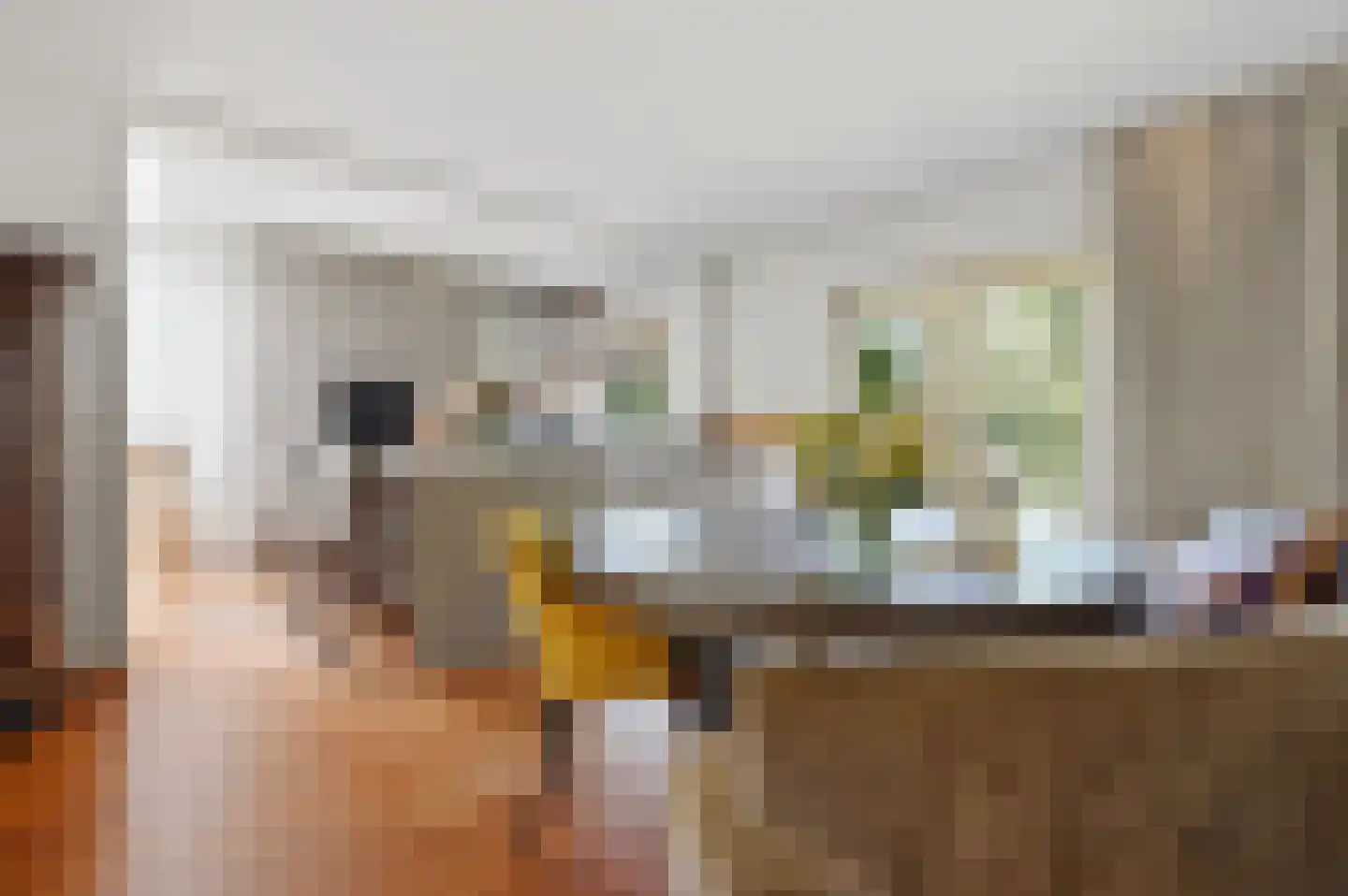 Kwikstaartlaan 36 Den Haag thumbnail 17