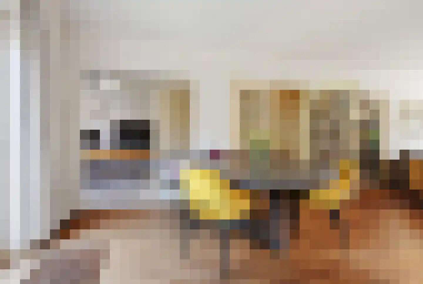 Kwikstaartlaan 36 Den Haag thumbnail 18