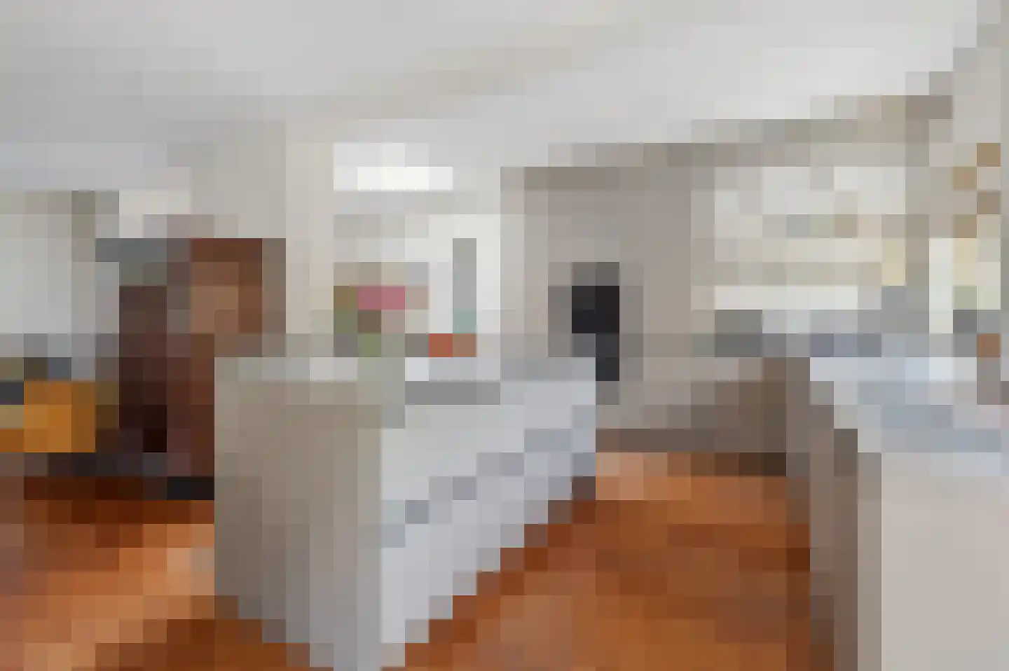 Kwikstaartlaan 36 Den Haag thumbnail 24