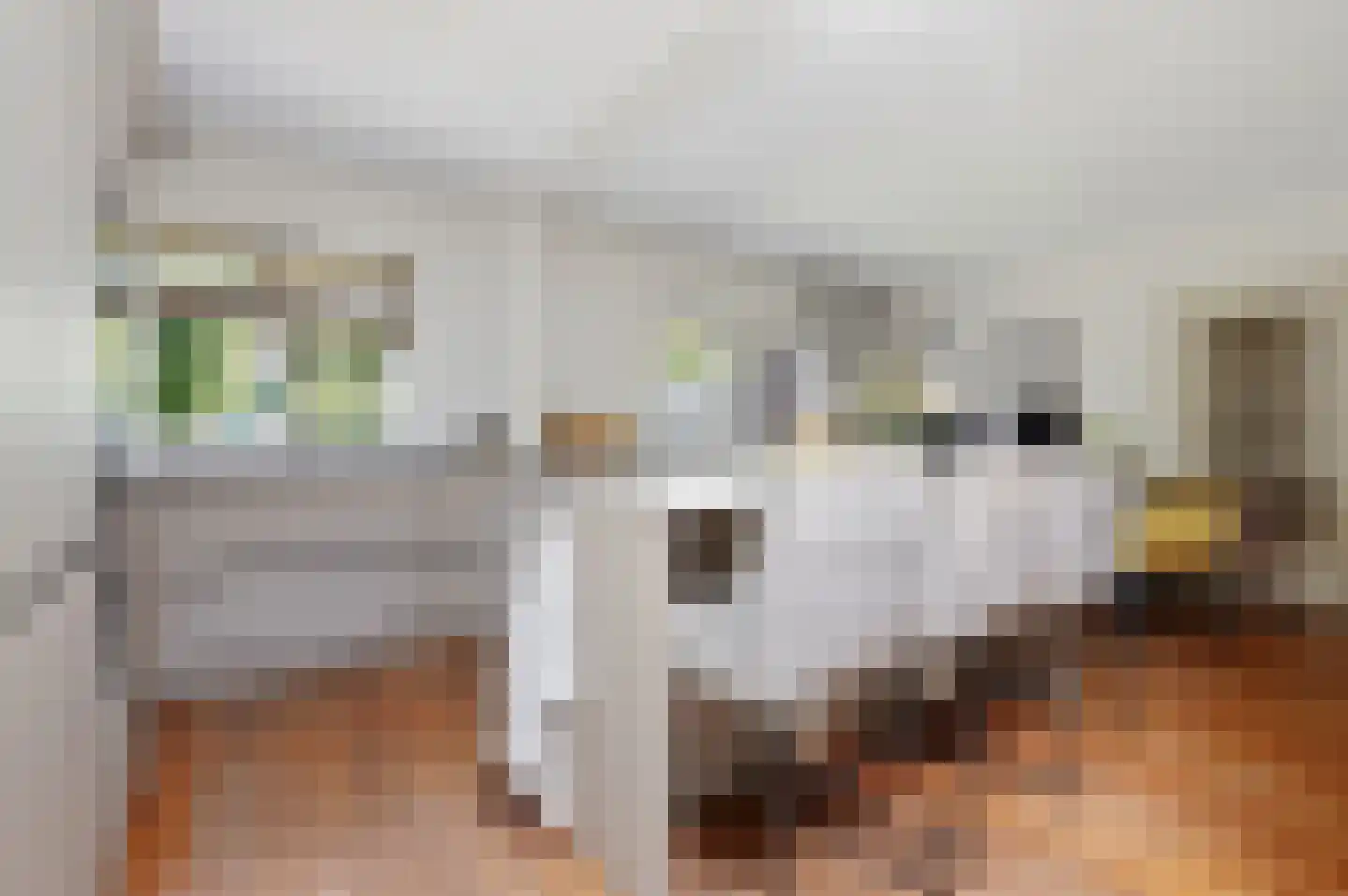 Kwikstaartlaan 36 Den Haag thumbnail 25