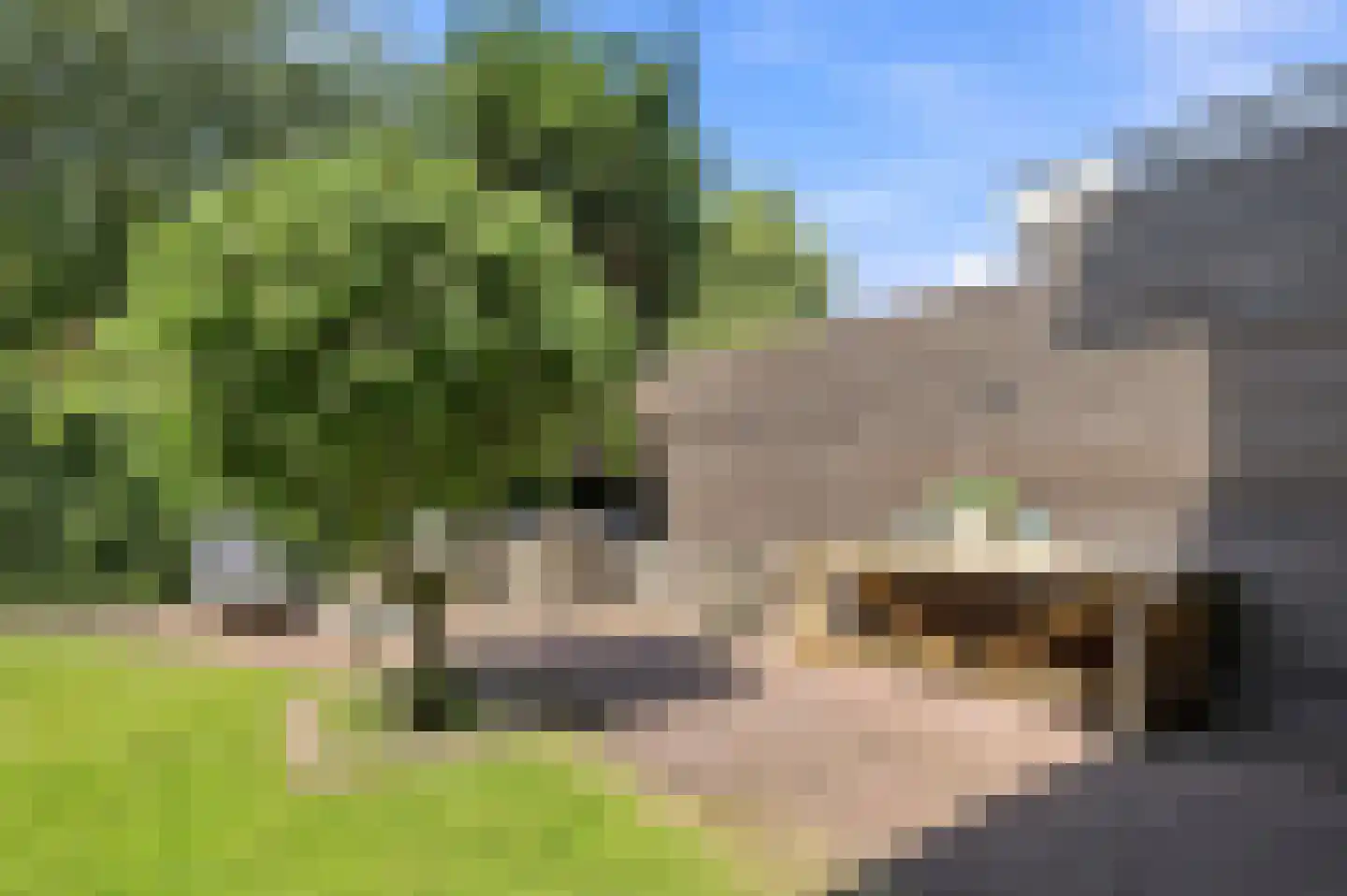 Kwikstaartlaan 36 Den Haag thumbnail 26