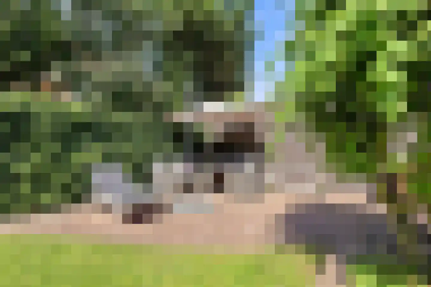 Kwikstaartlaan 36 Den Haag thumbnail 30
