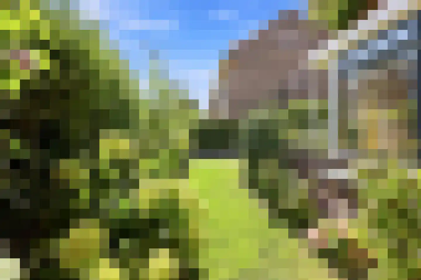 Kwikstaartlaan 36 Den Haag thumbnail 34