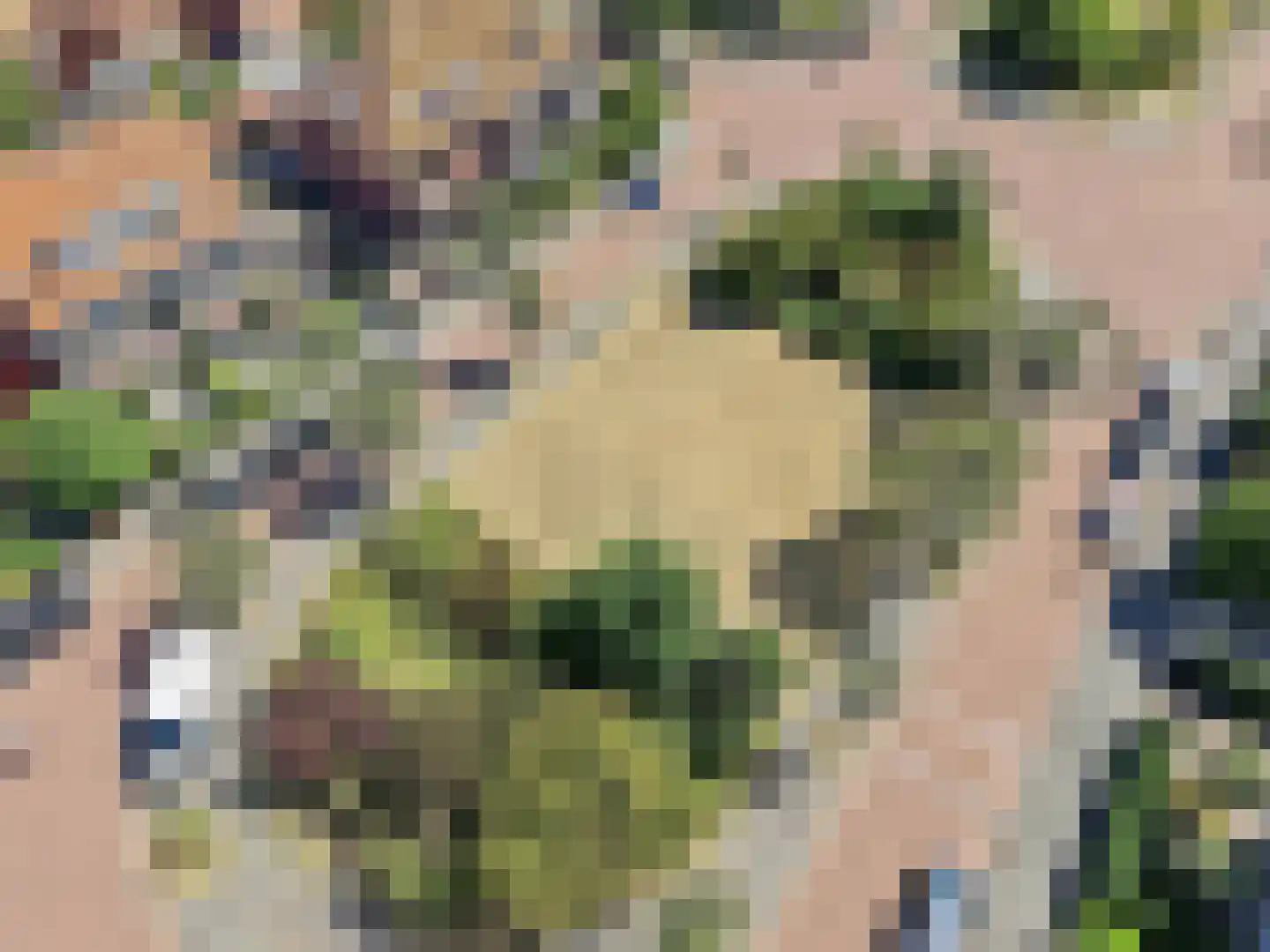 Kwikstaartlaan 36 Den Haag thumbnail 36