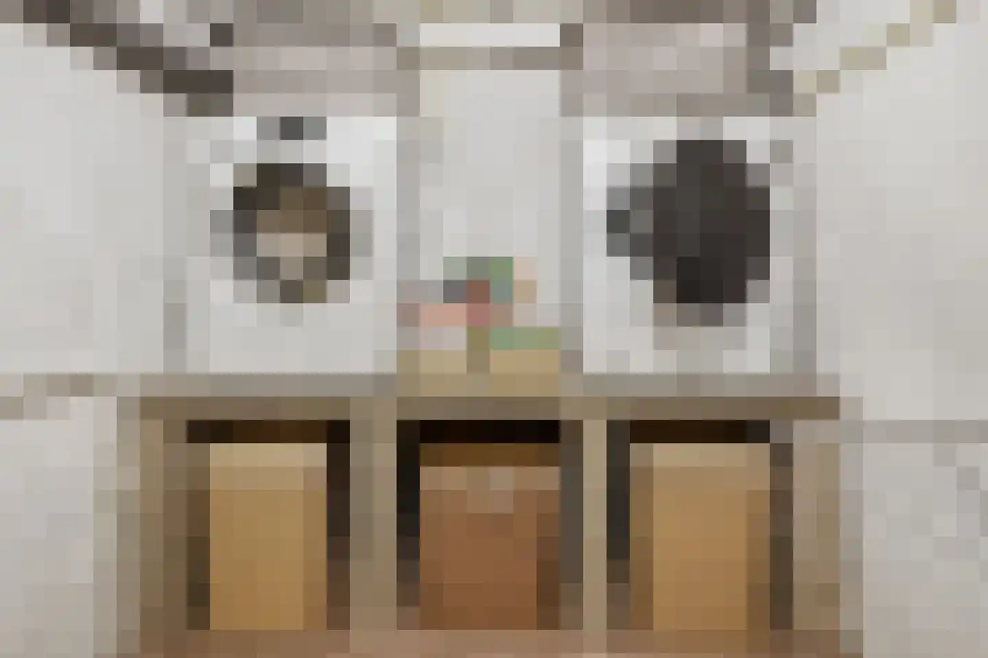Kwikstaartlaan 36 Den Haag thumbnail 39
