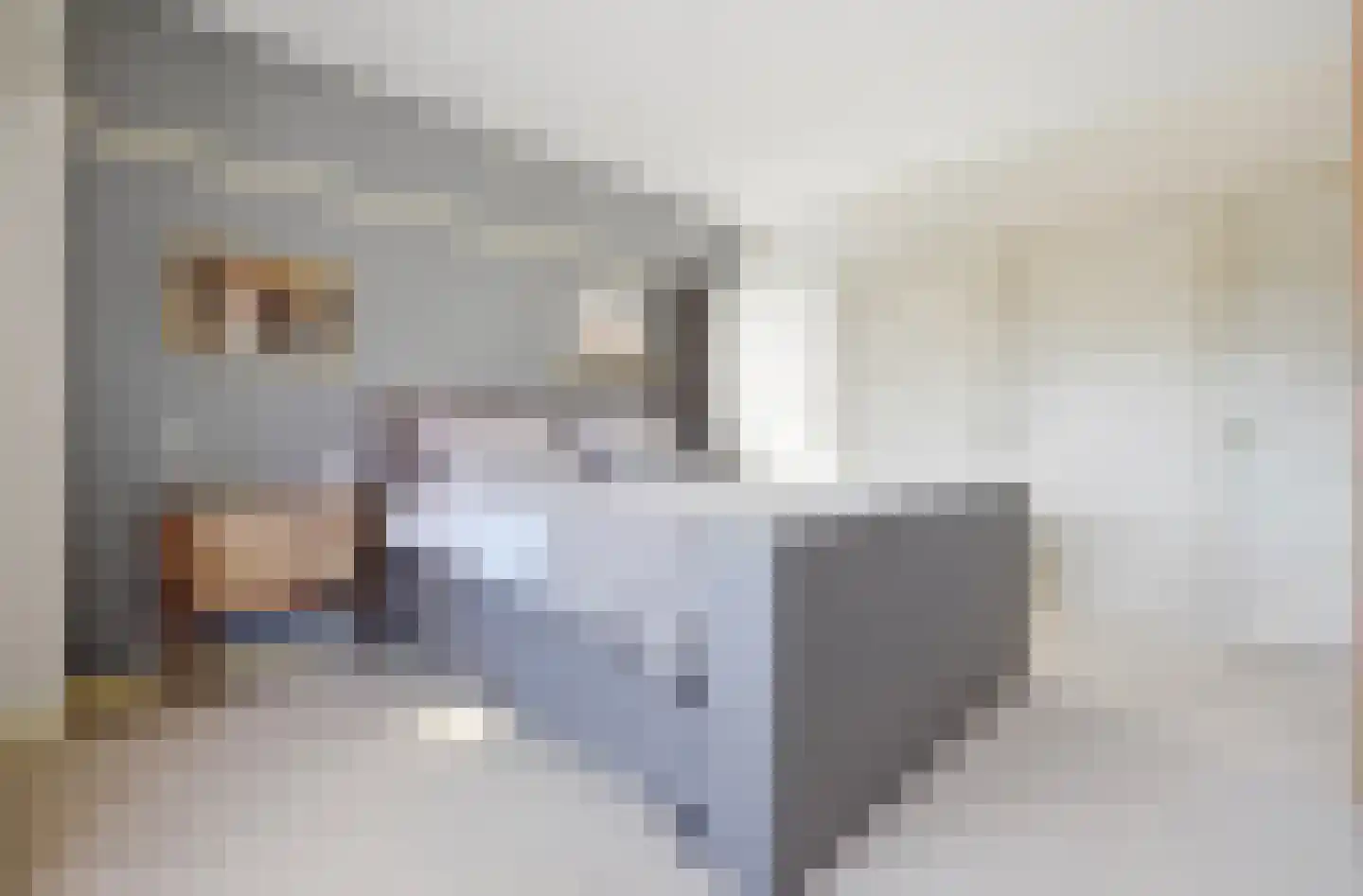 Kwikstaartlaan 36 Den Haag thumbnail 43