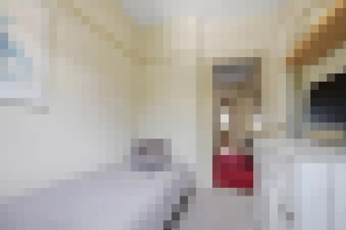 Kwikstaartlaan 36 Den Haag thumbnail 50