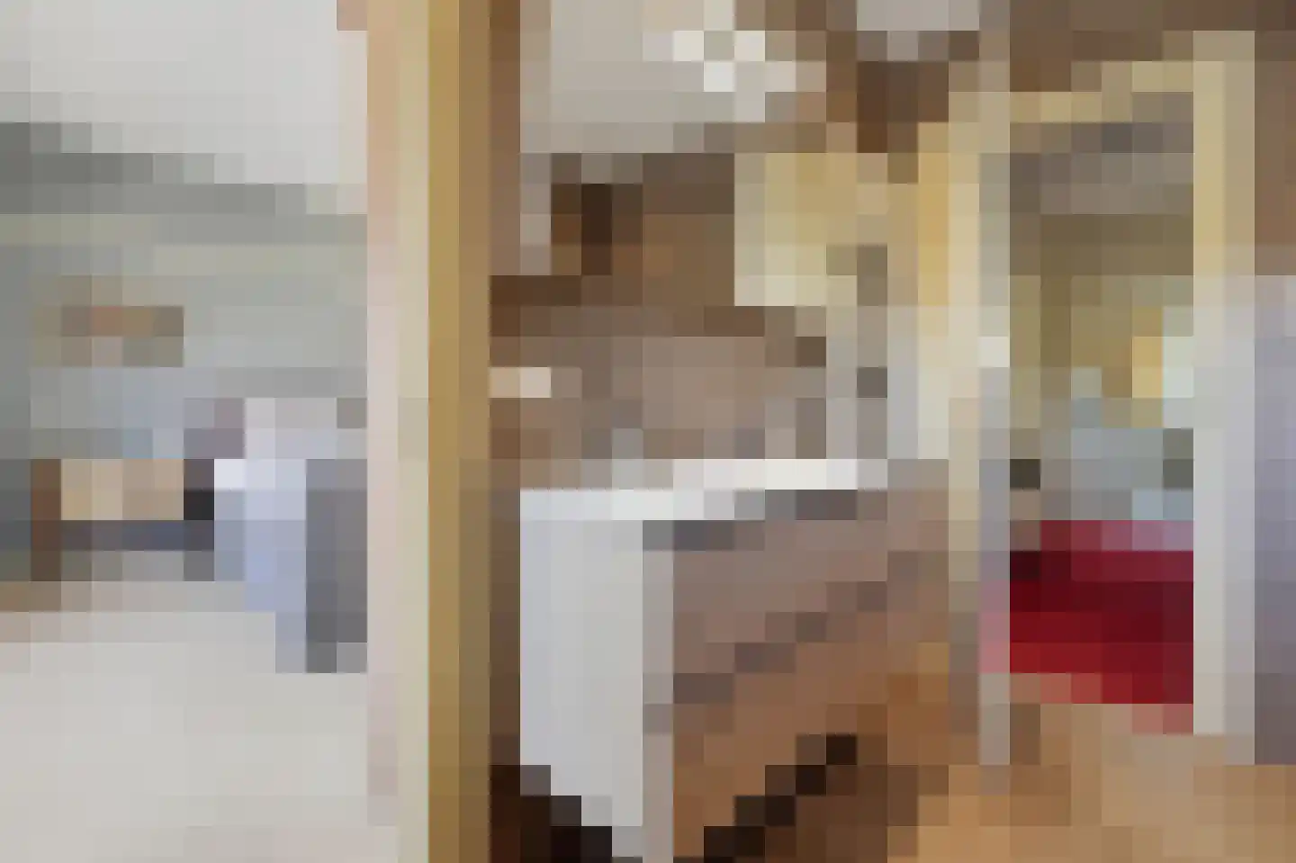 Kwikstaartlaan 36 Den Haag thumbnail 52