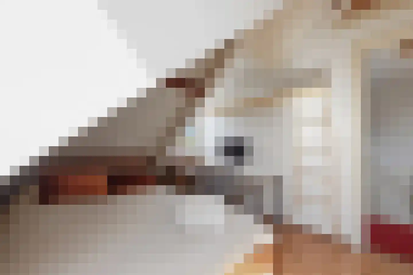 Kwikstaartlaan 36 Den Haag thumbnail 57