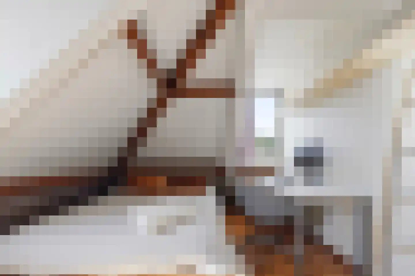 Kwikstaartlaan 36 Den Haag thumbnail 58