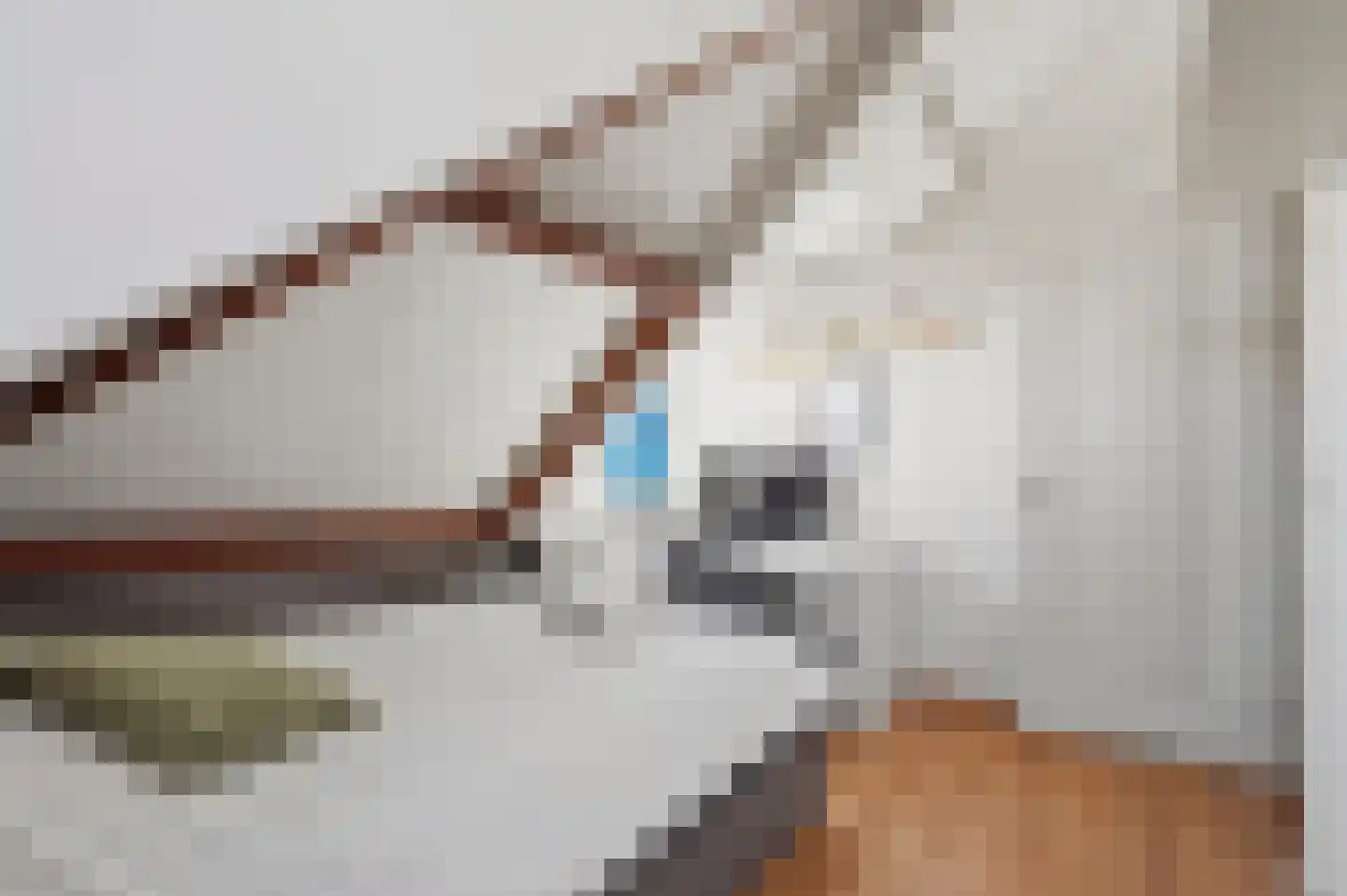 Kwikstaartlaan 36 Den Haag thumbnail 60