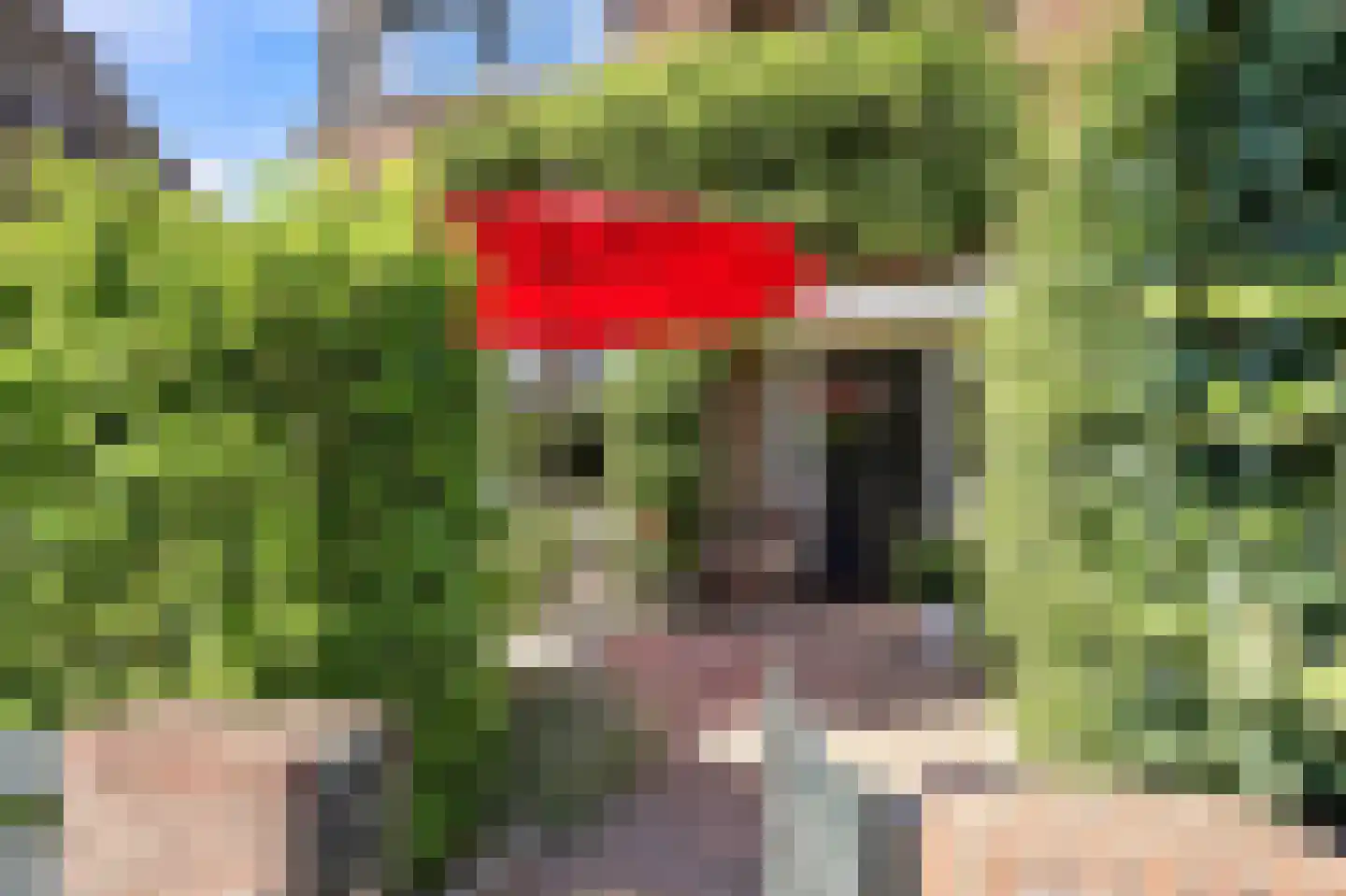Kwikstaartlaan 36 Den Haag thumbnail 7