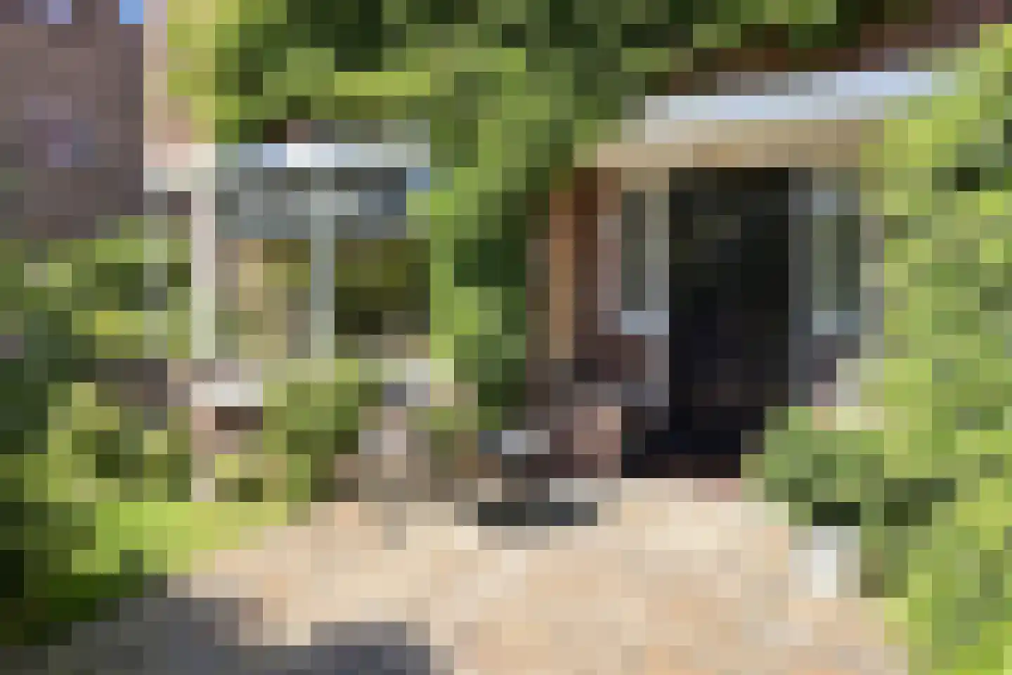 Kwikstaartlaan 36 Den Haag thumbnail 8