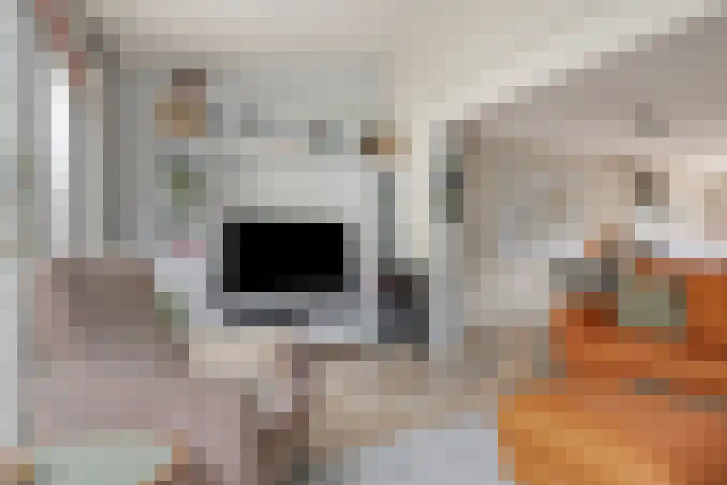 Kwikstaartlaan 40 Alkmaar thumbnail 21